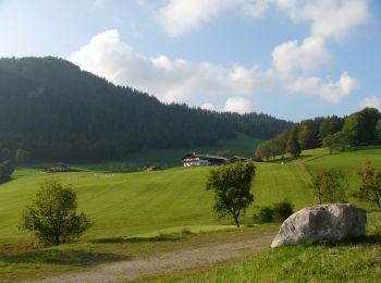 Randonnée A pied Ramsau bei Berchtesgaden - Wanderweg 75 (Rund um den Schmuckenstein) - Photo