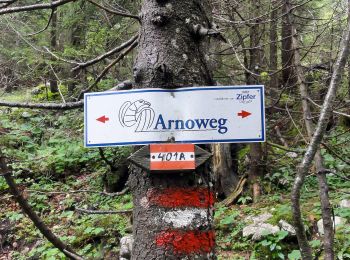 Tocht Te voet Weißbach bei Lofer - Seehorn - Photo