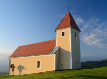 Excursión A pie Grafendorf bei Hartberg - Stambach Weg 1 - Photo