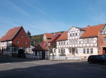 Tour Zu Fuß Sangerhausen - Teufelspfad Wippra - Photo