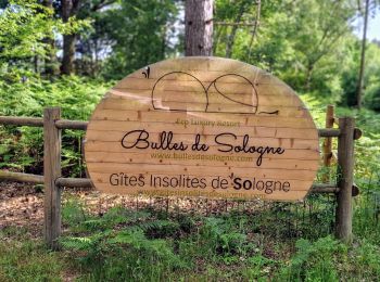 Tour Mountainbike Brinon-sur-Sauldre - Sologne balade VTT domaine des bulles - Photo