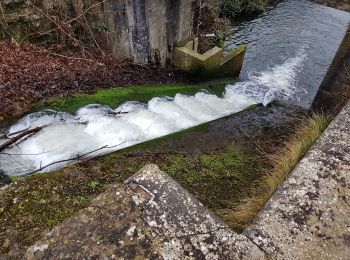 Tocht Stappen Seneffe - 2020-01-23 Feluy 22 km - Photo