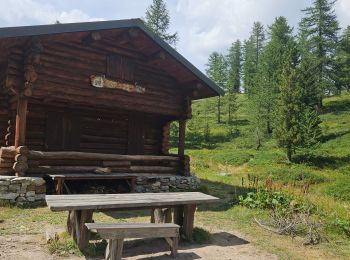 Tocht Stappen Saint-Martin-Vésubie - Mont Archas, Lac Adus  - Photo