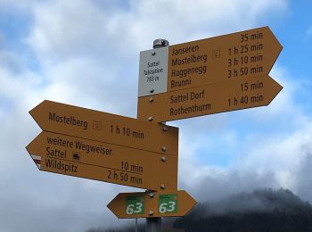 Trail On foot Sattel - Sattel Talstation - Mostelberg - Photo