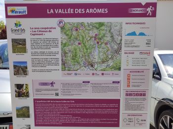 Randonnée Marche Hérépian - vallée des arômes  - Photo