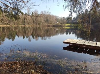 Tour Wandern Belmont - 4-03-22 circuit du bois des hauts, Belmont - Photo