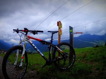 Trail Mountain bike Le Grand-Bornand - Le_Grand_Bornand_20210706_104522 - Photo