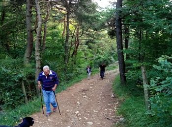 Tour Wandern Presles - Serre Cocu - Photo