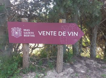 Tour Wandern Maussane-les-Alpilles - Tour du Geand Mejean - Photo