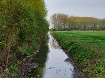 Tour Wandern Anhiers - boucle d'Anhiers - Photo