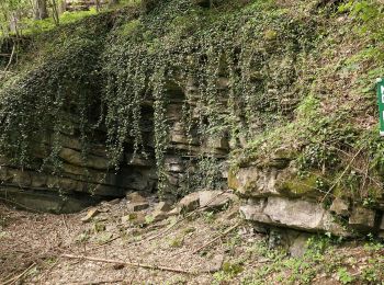 Tour Zu Fuß Bärnbach - Wanderweg 4 - Photo