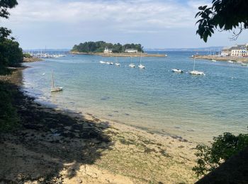 Randonnée Marche Douarnenez - Douarnenez - Photo