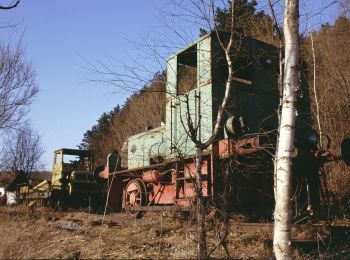 Tour Zu Fuß Altmannstein - Galgenbergweg - Photo