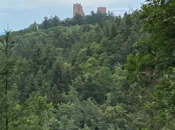 Percorso Mountainbike Wettolsheim - À Velo 23 07 27 autour des 3 châteaux  - Photo