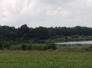 Percorso A piedi Birstein - Waschweiher Weg - Photo