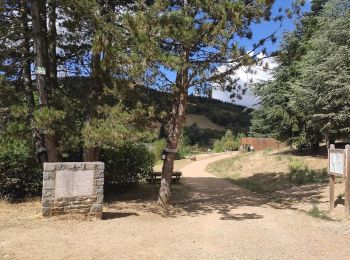 Tour Wandern Yzeron - Yzeron Crêt de la Madone - Photo