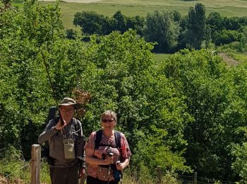 Tour Wandern Le Poët - Les Combettes club 04   - Photo