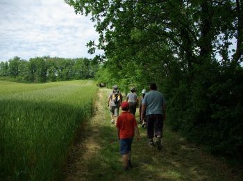 Randonnée Marche Aurimont - le chemin d'en jannet carreau - Photo
