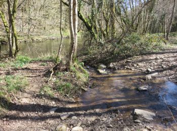 Percorso Marcia Orgnac-sur-Vézère - Orgnac - Pommier-Gorges Vézère - Photo