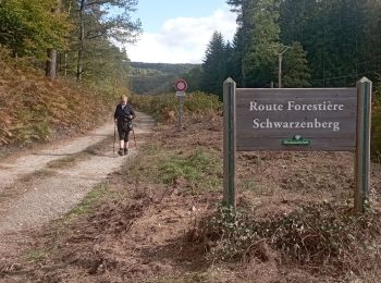 Tocht Stappen Baerenthal - muhlthal route brambach Schwartzenberg  - Photo