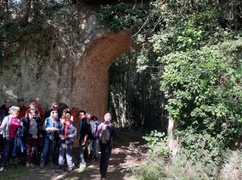 Trail Walking Morigny-Champigny - bonvilliers - Photo