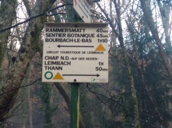 Trail Walking Aspach-Michelbach - Aspach le Haut (6/12/2018) - Photo