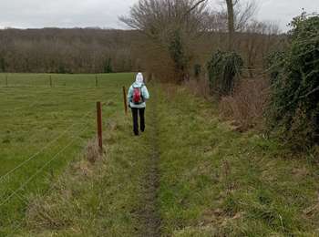 Tour Wandern Charleroi - mont sur marchienne dans les bois - Photo