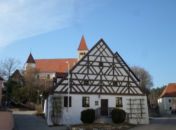 Tocht Te voet Illschwang - Illschwang Wanderweg 7 - Photo