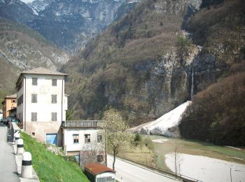 Tour Zu Fuß Ospitale di Cadore - IT-495 - Photo