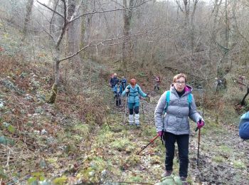 Tocht Stappen Aramits - ARAMITS 