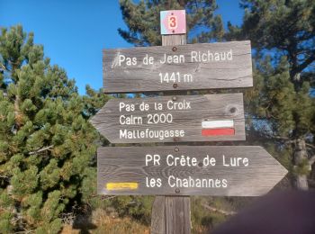 Randonnée Marche Aubignosc - CHATEAU NEUF VAL S DONNAT  , jas de Mathieu , crêtes de Lure , Pas de Jean RICHARD o n  - Photo