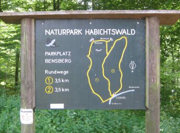 Trail On foot Niedenstein - Niedenstein, N2 - Langenbergweg - Photo