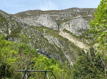 Trail Walking Castellane - Chasteuil - Cadières de Brandis - Photo