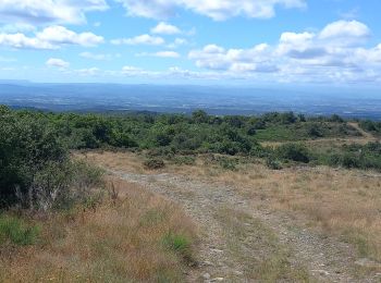 Tocht Stappen Mas-Cabardès - MAS CABARDES. Le carnier et le roc du bougre. - Photo