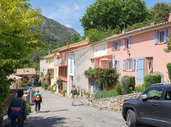 Trail Walking La Bastide - Le lachens - Photo