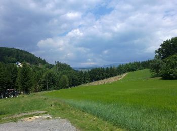 Percorso A piedi Rohrbach an der Lafnitz - Wanderweg 9 - Photo