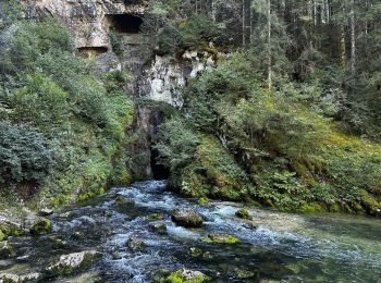 Randonnée Marche Mouthe - La source du Doubs à Mouthe - Photo