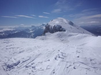 Tocht Ski randonnée Corrençon-en-Vercors - tête chaudière et petite moucherolle - Photo