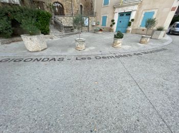 Tour Wandern Gigondas - Dentelles de Montmirail - Photo