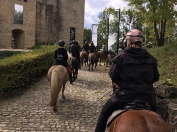 Tocht Paardrijden Sierck-les-Bains - Sierck-Manderen-Apach - Photo