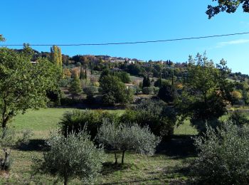 Excursión Senderismo Villecroze - Tombe mégalithique de la Lauve-28-10-20 - Photo