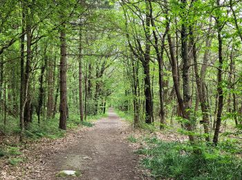 Trail Walking Mesnard-la-Barotière - circuit du bois du défend  - Photo