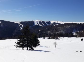 Trail Snowshoes Fellering - Tour du Markstein - Photo