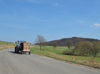 Tocht Te voet Gemeinde Wienerwald - Gemeinde Wienerwald Rundwanderweg 6 bei Sittendorf - Photo