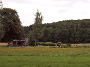 Randonnée A pied Fürstenzell - Kohlbruck - Platte - Seestetten - Photo