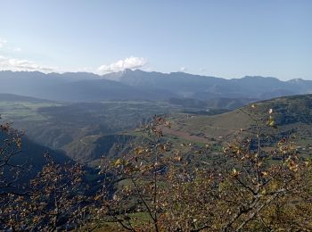 Trail Walking La Motte-d'Aveillans - petite balade  - Photo