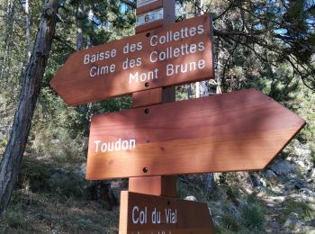 Tour Wandern Toudon - FFR - la Cime des Colettes  - Photo