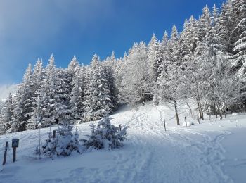 Randonnée Raquettes à neige Lans-en-Vercors - Circuit les Aigaux / Charande - Photo