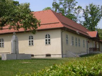 Tour Zu Fuß Unbekannt - Z▲ (Zugliget, Libegő am. - Tündér-hegy - János-hegy, Erzsébet-kilátó) - Photo