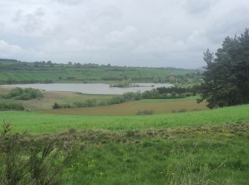 Trail Walking Le Monastier-sur-Gazeille - 07-05-2023 E2 Le Monastier sur Gazeille - Le Bouchet Saint Nicolas  - Photo